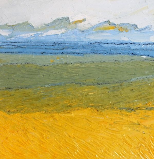 Yellow Meadows