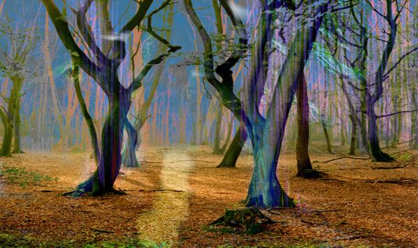 Mystifying Forest IX